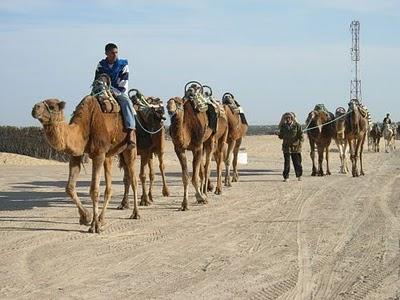 LIBIA II° ERG AWBARI anda e rianda