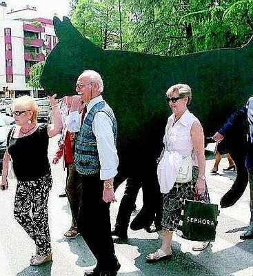 Se a Udine un enorme gatto nero vi attraversa la strada ...