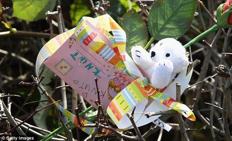 A toy bear with a message of condolence is pinned to the hedge surrounding the enclosure