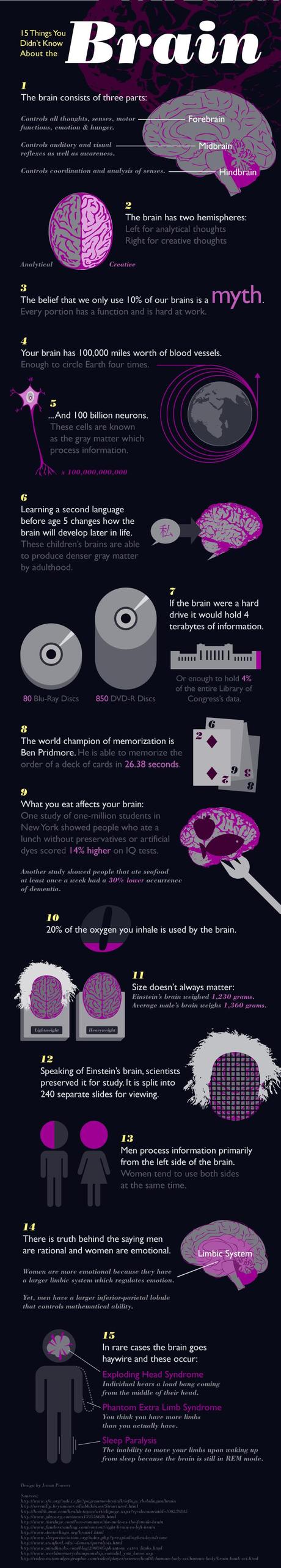 Infografica: conosci il tuo cervello? Ecco 15 cose che non sapete di lui!