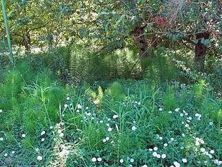 Amianto. ieri, oggi e domani Amianto. ieri, oggi e domani