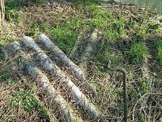 Amianto. ieri, oggi e domani Amianto. ieri, oggi e domani