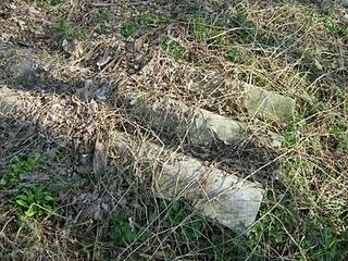 Amianto. ieri, oggi e domani Amianto. ieri, oggi e domani