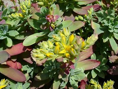 La nube nucleare passa sopra la nostra testa, ma la vita continua... La nube nucleare passa sopra la nostra testa, ma la vita continua...
