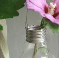 Lampadine fiorite/ Light bulb gardens