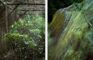 Giardino sommerso / Sunken garden