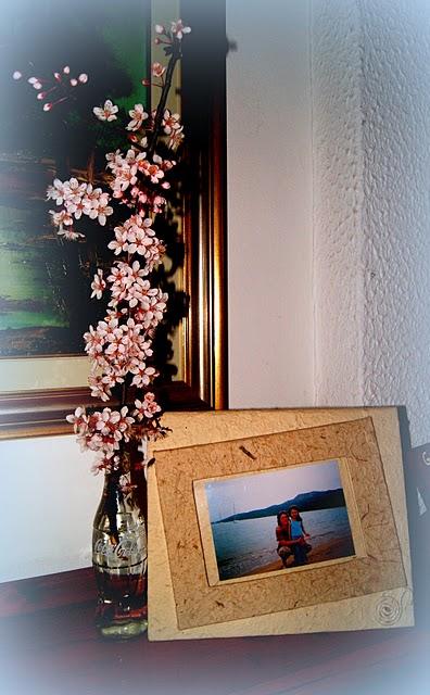 FIORI, UN ALBERO DA FRUTTA.... E LA CASA ACCOGLIE LA PRIMAVERA