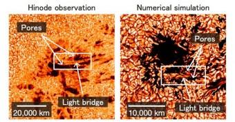 Nascita turbolenta per le macchie solari A sinistra: le osservazioni della sonda Hinode della JAXA mostrano lo sviluppo di una macchia solare. Una struttura brillante ed allungata, il 'light bridge', appare tra i due pori che si stanno fondenndo (le regioni più scure). A destra: la formazione di una macchia solare nella simulazione al computer realizzata dal team di Shin Toriumi. Crediti: NAOJ/JAXA/LMSAL/NASA
