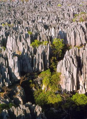 Parco Nazionale degli Tsingy di Bemaraha