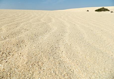 #TRAVEL: le Dune di sabbia di Corralejo