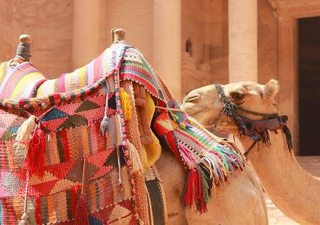 I cammelli di Petra - foto di Elisa Chisana Hoshi