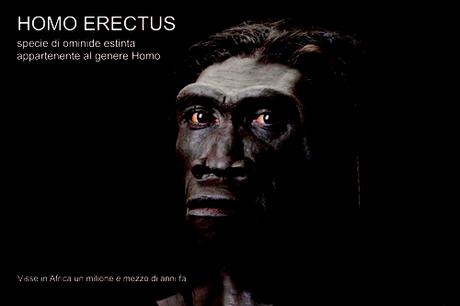 homo_sapiens_claudio_tuniz_patrizia_tiberi_vipraio (2)