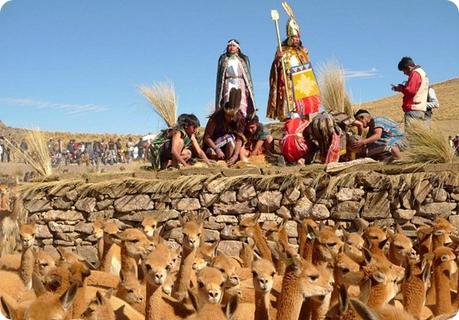 Chaccu_Galeras_2011 Chaccu_Galeras_2011