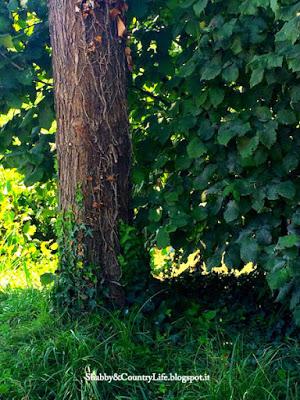 { Scorci d'Italia : Veneto } { Scorci d'Italia : Veneto }