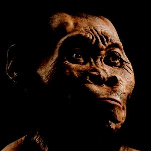 homo_naledi_nuovo_ominide (2)