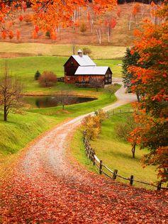 apple cider. New England in the Fall