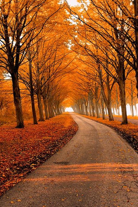 Le scarpe per l’autunno 50a75259fbc9b6d9f5c4ae713e64cfaf