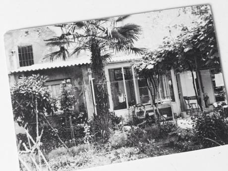 ...e questo è lui, il mio nonno, affacciato alla sua veranda, a guardare la sua palma. In una foto scattata negli anni '80 con la Polaroid da papà.