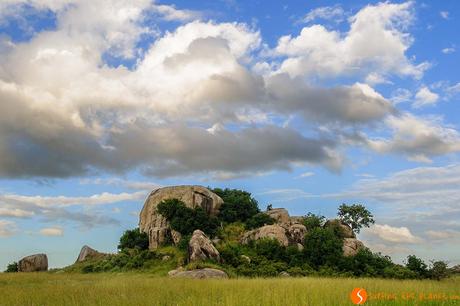 Safari nel Parco Nazionale Serengeti – Viaggio in Tanzania