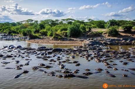 Safari nel Parco Nazionale Serengeti – Viaggio in Tanzania