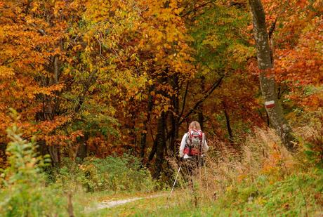 Autunno nella Valle di Uccea