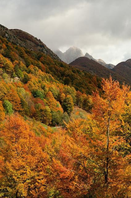 Autunno nella Valle di Uccea