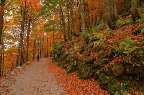 Autunno nella Valle di Uccea