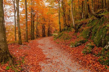 Autunno nella Valle di Uccea