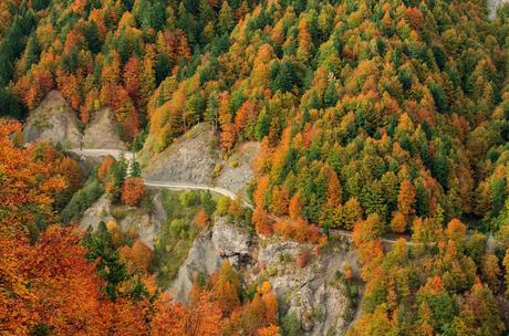 Autunno nella Valle di Uccea