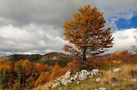 Autunno nella Valle di Uccea