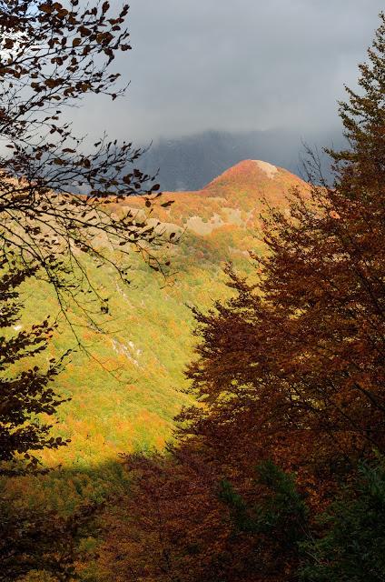 Autunno nella Valle di Uccea