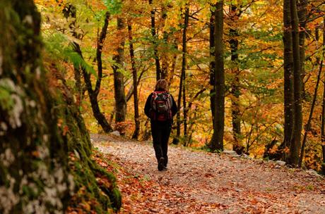 Autunno nella Valle di Uccea