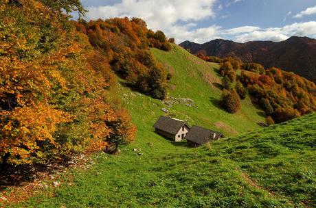 Autunno nella Valle di Uccea