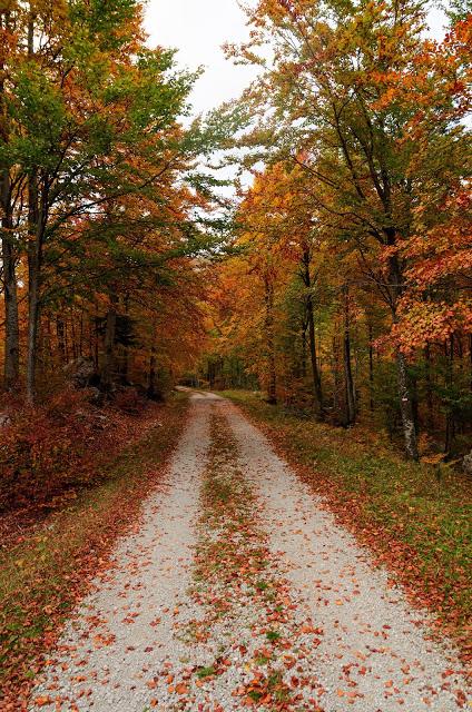 Autunno nella Valle di Uccea