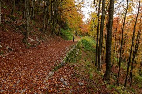 Autunno nella Valle di Uccea