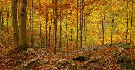 Autunno nella Valle di Uccea