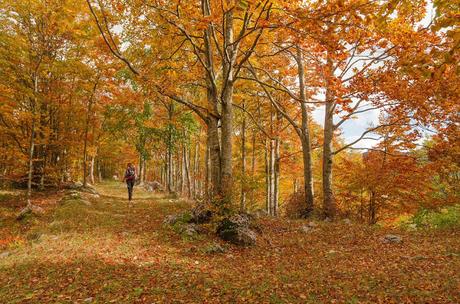 Autunno nella Valle di Uccea