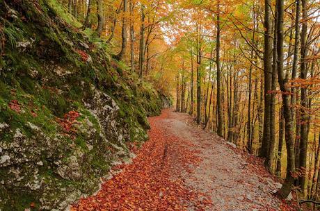 Autunno nella Valle di Uccea