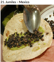 DIMENTICARE GLI SPAGHETTI DIMENTICARE GLI SPAGHETTI