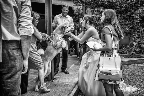 Bride and her dog