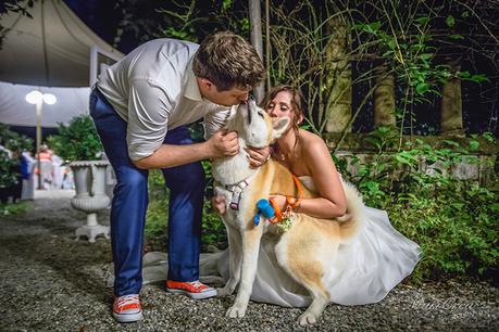 Bride, groom and their dog