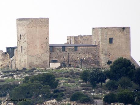 Il castello di San Michele 1905-2015