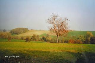 Gli autunni di Marisa Gli autunni di Marisa