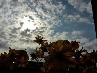 Gli autunni di Marisa Gli autunni di Marisa