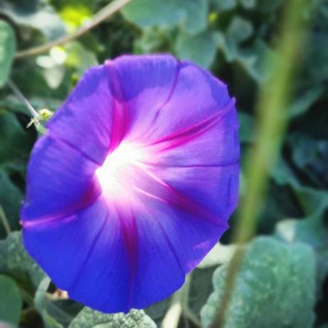 OOTD: Total Denim OOTD: Total Denim