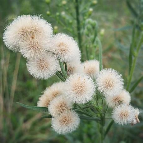 OOTD: Total Denim OOTD: Total Denim