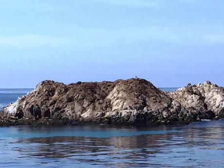 CALIFORNIA: IMPERDIBILE 17 MILE DRIVE carmel_17miledrive8_california_iviaggidimonique