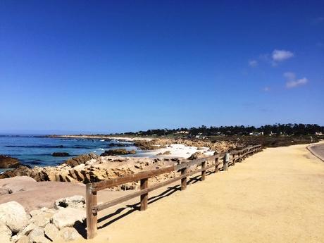 CALIFORNIA: IMPERDIBILE 17 MILE DRIVE carmel_17miledrive1_california_iviaggidimonique