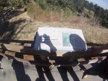 CALIFORNIA: IMPERDIBILE 17 MILE DRIVE ?????????????