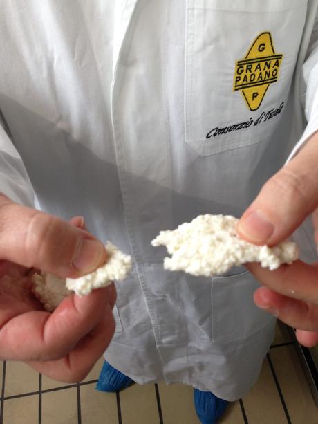 GRANA PADANO DOP: PASSIONE ED AMORE TUTTI DA GUSTARE IMG_0557